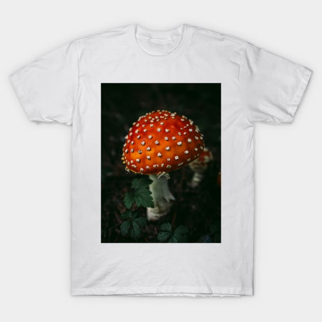 Amanita Muscaria a.k.a Fly Agaric T-Shirt by Robtography
